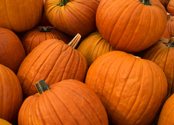 pumpkins pumpkins